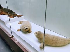 -国家自然博物馆