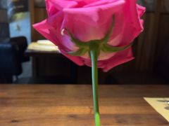 -Magnet磁食(愚园路店)