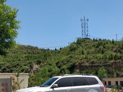 -五龙城郊森林公园