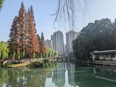 -温江公园