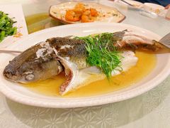 -强记烧鸡(信业悦都汇店)