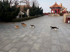 -蓬莱阁景区