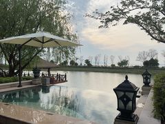 -苏州湾·王焰温泉