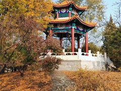 -滨河世纪广场公园