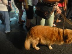 -六合夜市