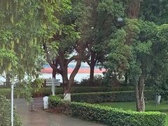 -橘洲1910花园江景西餐厅
