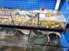 -蛙太牛牛肉海鲜自助火锅(台江万达店)