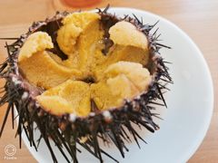 -海胆小馆(东北水饺·春柳店)