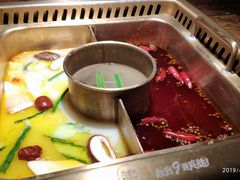 -九鼎轩脆毛肚火锅(商业街店)