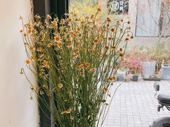-Bamboo Today Cafe(国创园店)
