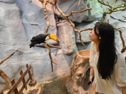 -Zoolung Zoolung动物主题公园(海信广场店)