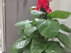 -北京地坛口腔门诊部