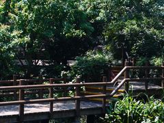 -上海滨江森林公园