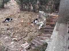 -山东大学(趵突泉校区)