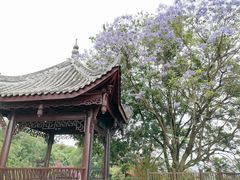 -张坝桂圆林公园