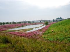-吕家米皮