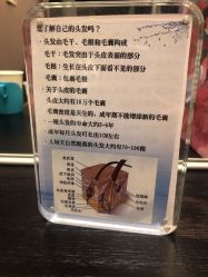 -史云逊养发护发