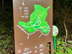 -上海佘山国家森林公园天马山园