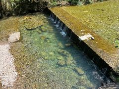 -雁荡山三折瀑景区
