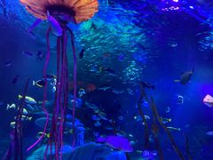 -沈阳海洋探索中心