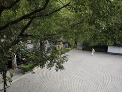 -星巴克臻选(思南公馆店)