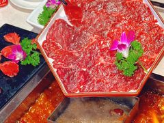 -红鼎坊·老成都火锅(新南门店)