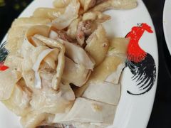 -文昌鸡饭店110号(中山路店)