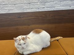 -B.O.M波姆烘焙(凤凰街店)