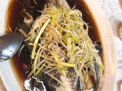 -顺德渔鲜酒家