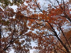 -天津盘山风景名胜区