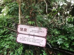 -大余丫山旅游度假区