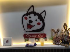 -Husky Go! 哈士奇体验馆·宠物咖啡厅狗咖