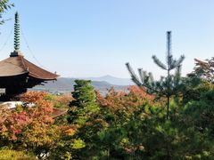-常寂光寺