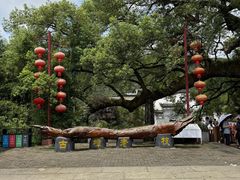 -新安江山水画廊风景区