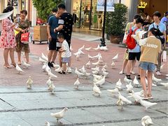 -王府井奥莱临潼小镇(临潼店)