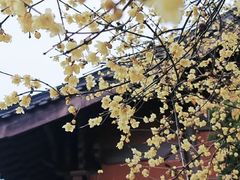 -钱王祠