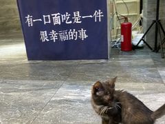 -囿面传统制面馆(中央路店)