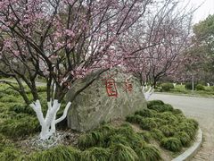 -上海海湾国家森林公园