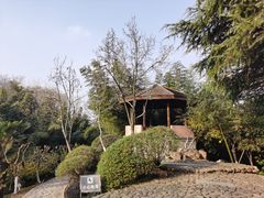 -菊花台公园