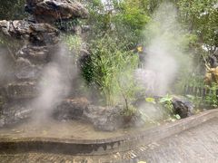 -合肥滨湖国家森林公园