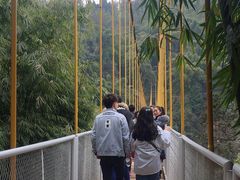 -川西竹海景区