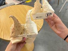 -野人先生Gelato(上海长宁龙之梦店)