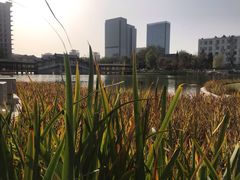 -西海子公园