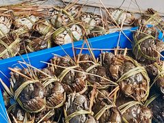 -乡乐园蟹庄·阳澄湖农家乐