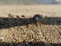 -三亚亚龙湾美高梅度假酒店FUN动冲浪