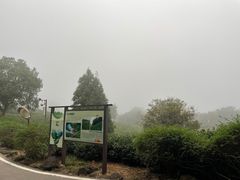 -南京市江宁方山