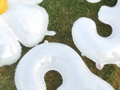 -映月湖中央公园