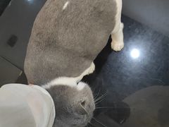 -暗楼·剧本杀·桌游