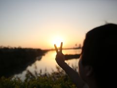-芒洲湿地公园