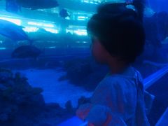 -成都浩海立方海洋公园